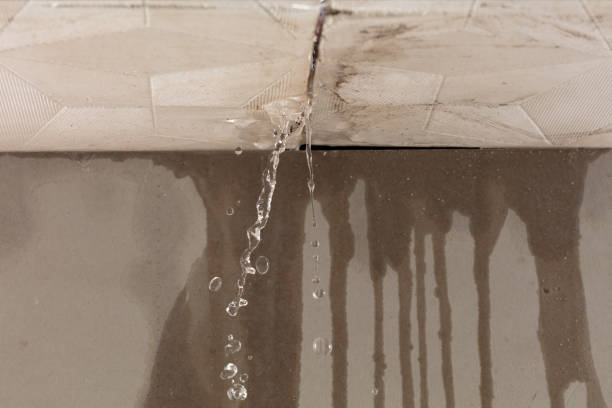 Professional Water Damage Repair technician working in Axtell, TX